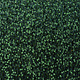 Sequins on Velvet Dark Green