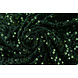 Lentejuelas sobre Terciopelo Verde Oscuro Lentejuelas sobre Terciopelo Verde Oscuro