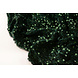 Paillettes su Velluto Verde Scuro Paillettes su Velluto Verde Scuro