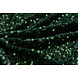 Paillettes su Velluto Verde Scuro Paillettes su Velluto Verde Scuro