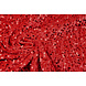 Paillettes su Velluto Rosso