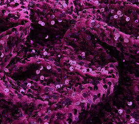 Pailletten auf Samt Alpenveilchen Pailletten auf Samt Alpenveilchen