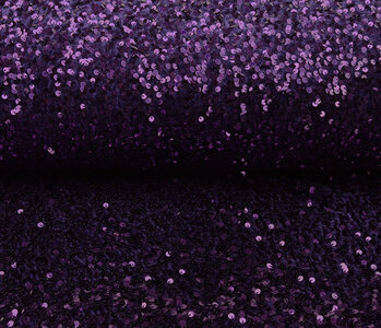 Sequins on Velvet Dark Purple