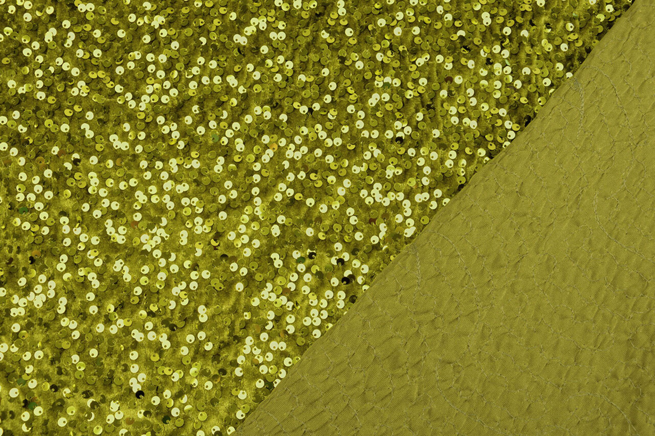 Paillettes su Velluto Verde Muschio Paillettes su Velluto Verde Muschio
