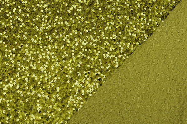 Paillettes su Velluto Verde Muschio Paillettes su Velluto Verde Muschio