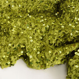 Paillettes su Velluto Verde Muschio