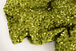 Paillettes su Velluto Verde Muschio Paillettes su Velluto Verde Muschio