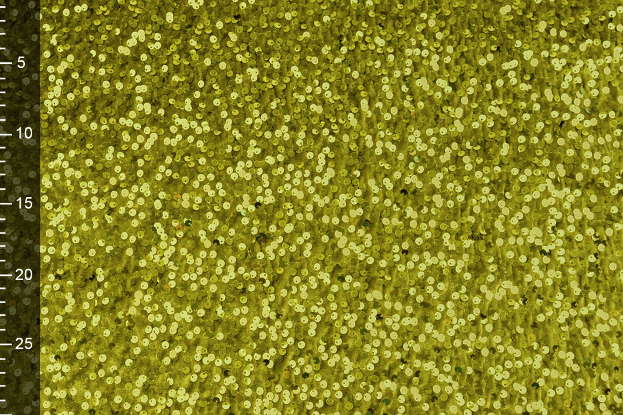 Pailletten op Velours Mosgroen