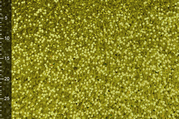 Pailletten auf Samt Moosgrün