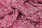 Sequins on Velvet Pink Sequins on Velvet Pink