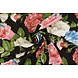 100 % Viscose Sophia Vlinder sur Roses Noir 100 % Viscose Sophia Vlinder sur Roses Noir