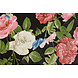 100 % Viscose Sophia Vlinder sur Roses Noir 100 % Viscose Sophia Vlinder sur Roses Noir