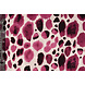 100% Viscosa Swati Macchie Fucsia 100% Viscosa Swati Macchie Fucsia
