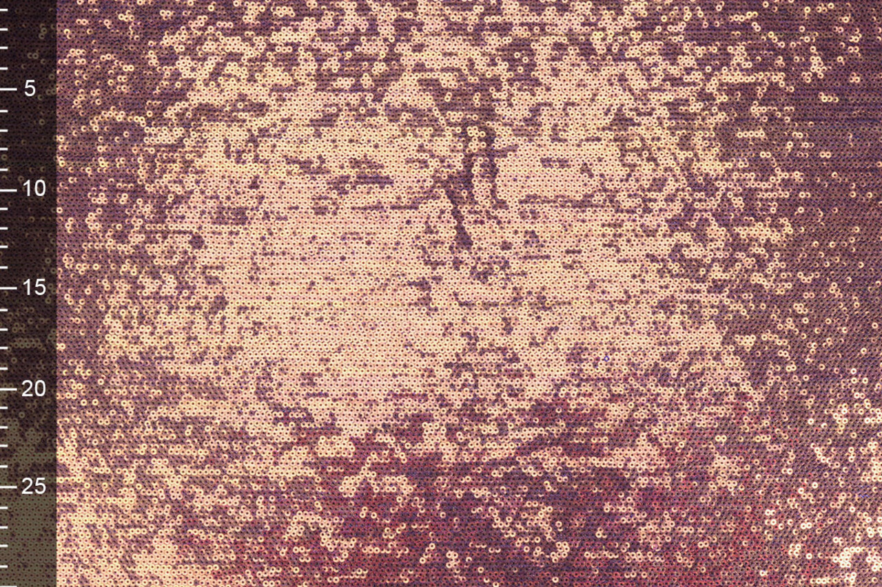 Mesh Geborduurd Pailletten Jolie Mermaidcolor 1