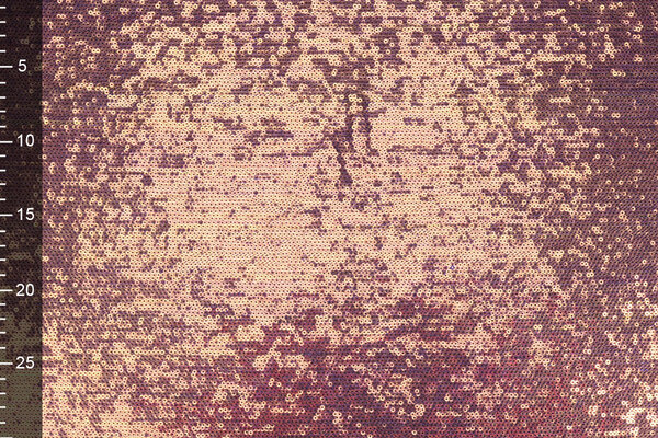 Netz Bestickt Pailletten Jolie Mermaidcolor 1