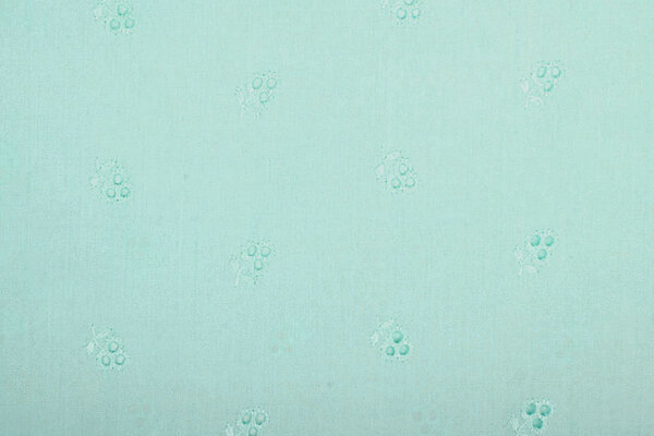 Embroidery Cotton Lily Mint Blue