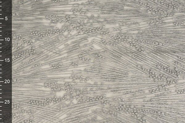 Netz Bestickt Prudence  Hellgrau Netz Bestickt Prudence  Hellgrau