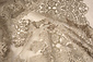 Mesh Ricamato Alice Tortora Mesh Ricamato Alice Tortora