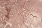Mesh Ricamato Hyacinth Glitter con Perla Rosa Cipria Mesh Ricamato Hyacinth Glitter con Perla Rosa Cipria