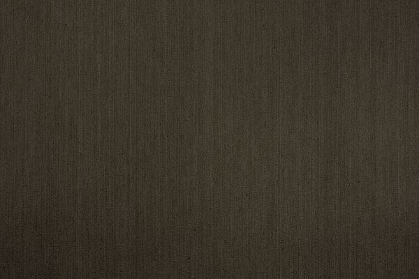 Unbleached Stretch Jeans Dark Taupe 265 Gram