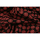 Bi-Stretch Imprimé Geluksmunt Noir