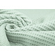Oeko-Tex® Nid d’Abeille Coton Vert Ancien Clair Oeko-Tex® Nid d’Abeille Coton Vert Ancien Clair