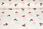 100% Cotton Voile Embroidered Cherry Off-White 100% Cotton Voile Embroidered Cherry Off-White