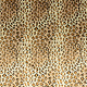 Stretch Satin Printed Leopard Print Small