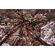 Paillettes su Mesh Ximena Multicolore 2 Paillettes su Mesh Ximena Multicolore 2
