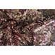 Paillettes sur Résille Ximena Multicolore 2 Paillettes sur Résille Ximena Multicolore 2