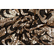 Paillettes su Mesh Yanissa Paillettes su Mesh Yanissa