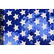 Paillettes American Étoiles Paillettes American Étoiles