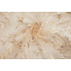 Mesh Ricamato Adele Champagne