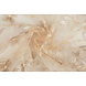 Résille Brodé Adele Champagne Résille Brodé Adele Champagne