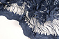 Mesh Ricamato Agatha Scuro Blu Mesh Ricamato Agatha Scuro Blu