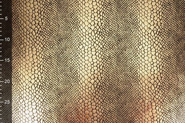 Folienjersey Schlangenprint Gold