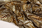 Lamé Snake Print Gold