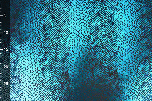 Lamé Estampado de Serpiente Aqua
