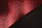 Lamé Estampado de Serpiente Rojo Lamé Estampado de Serpiente Rojo