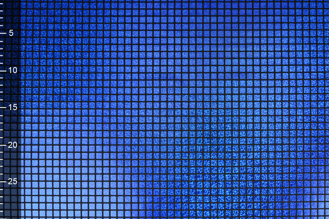 Lamé Check Cobalt Blue