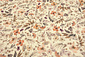 Côtelé Jersey Fleurs Lexia Crème Côtelé Jersey Fleurs Lexia Crème
