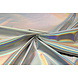 Lamé Holografisch Neon Argento Lamé Holografisch Neon Argento
