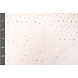 Fine Tulle Bianco Stelle Argento