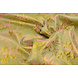 Broccato Celeste Verde - Rosa