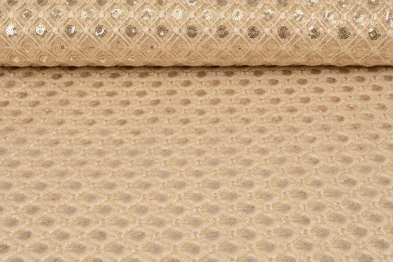 Mesh Embroidered Sequins Chaira Beige