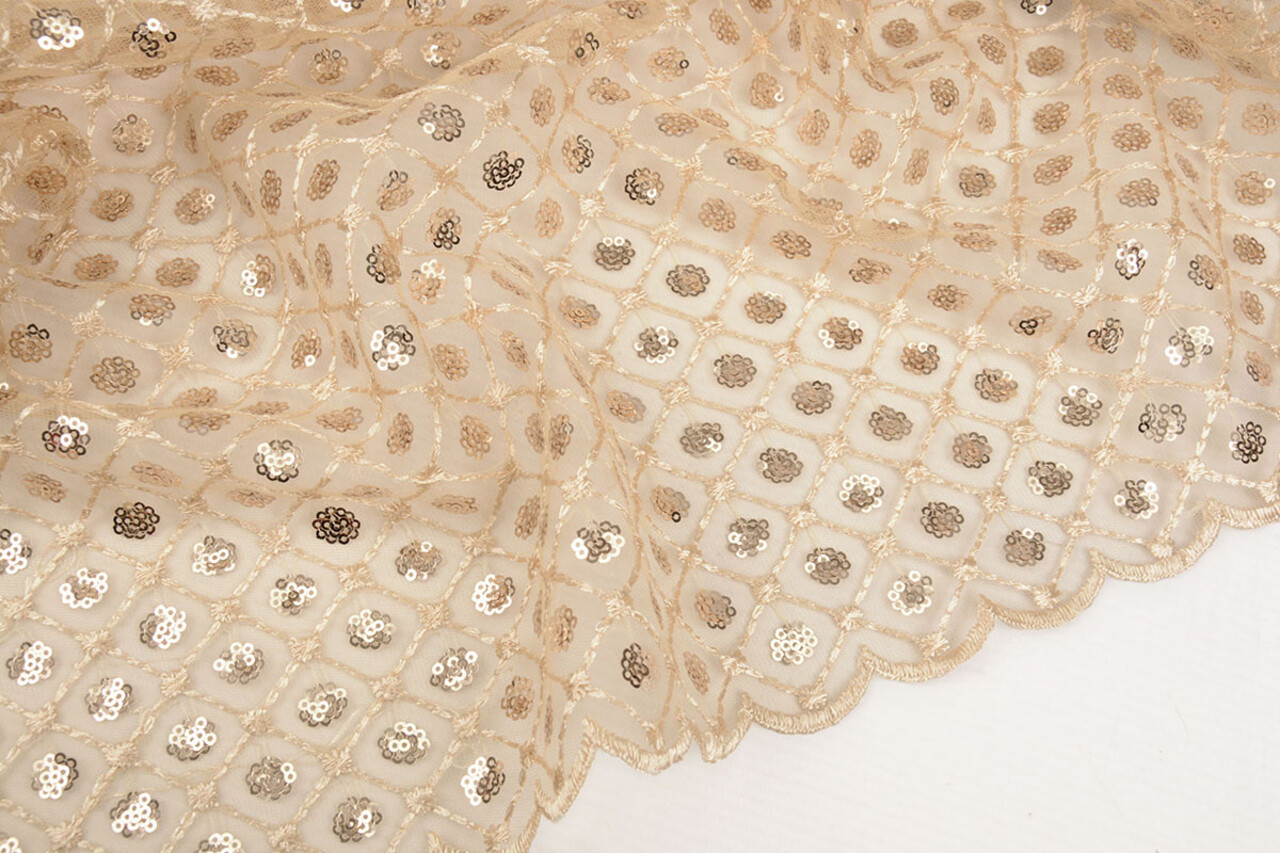 Mesh Geborduurd Pailletten Chiara Beige