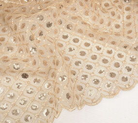 Mesh Ricamato Paillettes Chiara Beige Mesh Ricamato Paillettes Chiara Beige