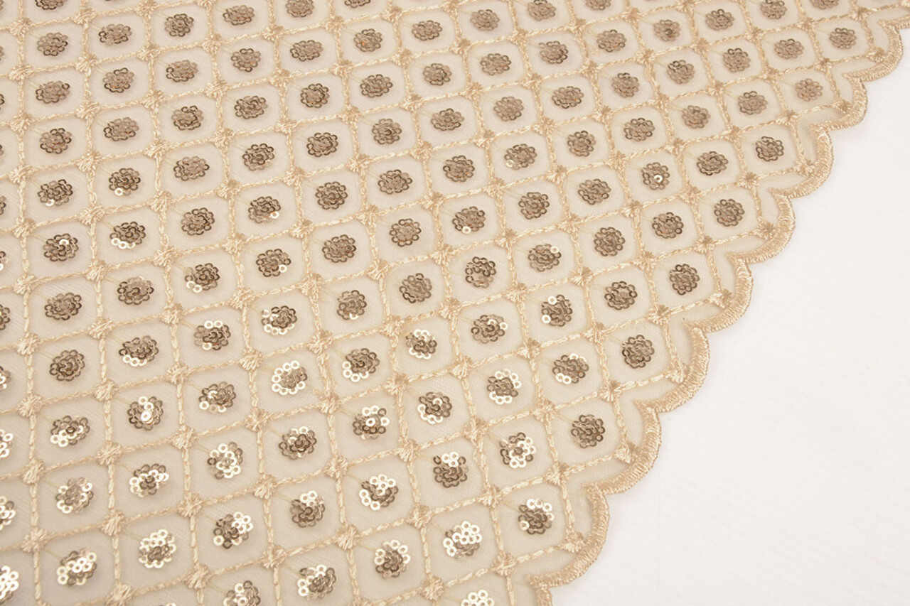 Mesh Ricamato Paillettes Chiara Beige