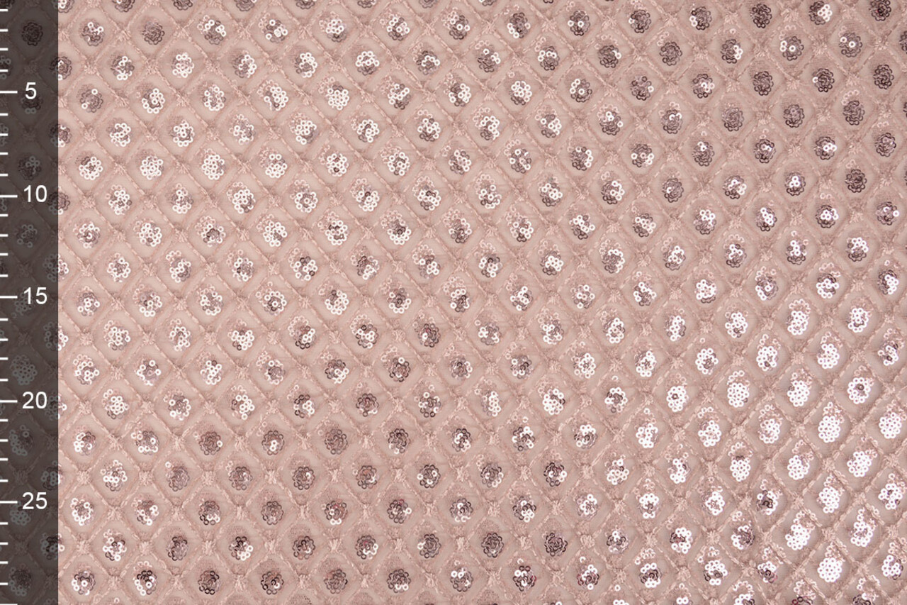 Mesh Embroidered Sequins  Chaira Powder Pink