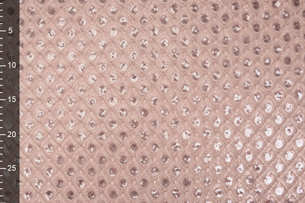 Mesh Embroidered Sequins  Chaira Powder Pink